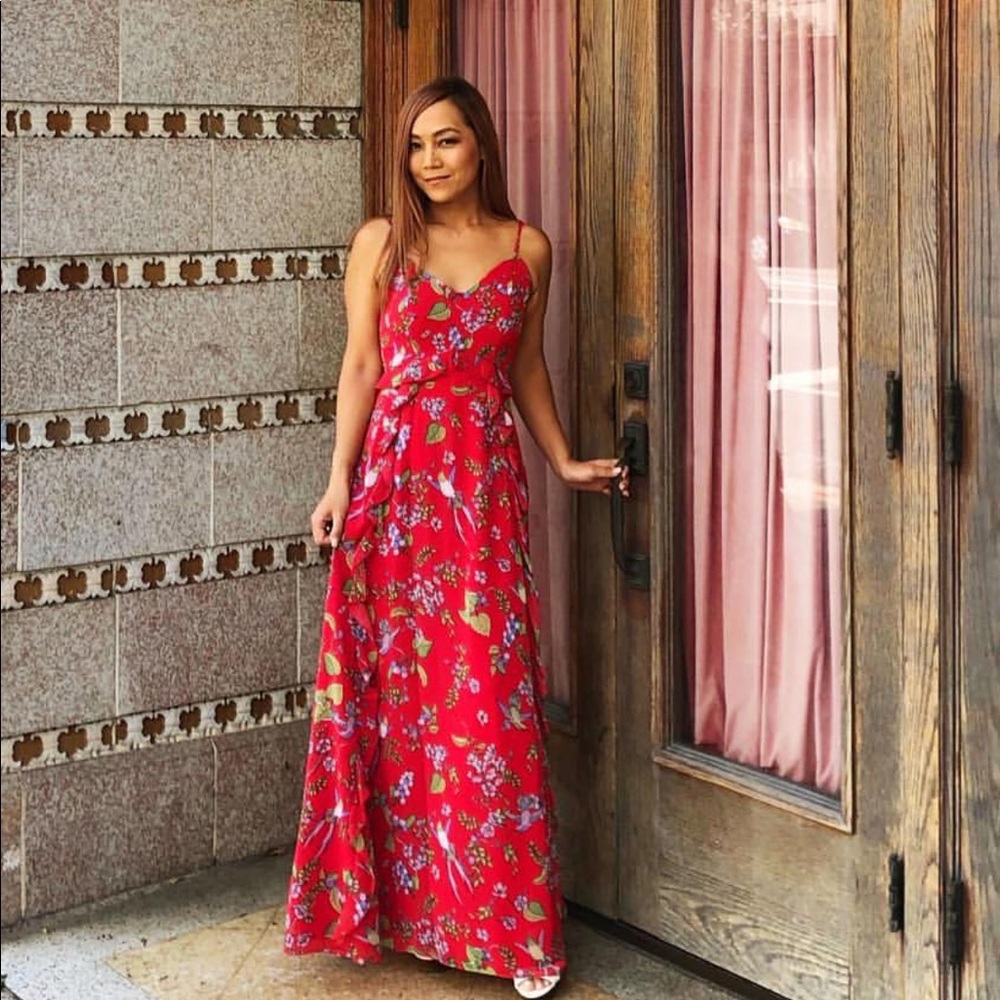 Nanette Leopore Maxi Dress 2